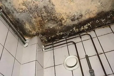 Schimmel door onvoldoende ventilatie